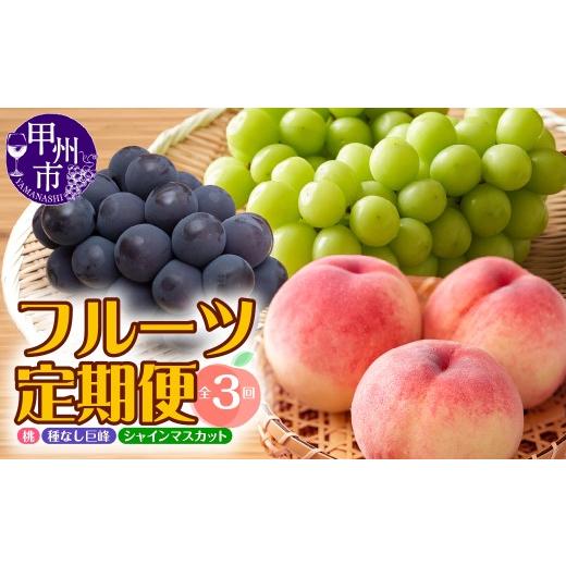 ふるさと納税 ぶどう マスカット 山梨県 甲州市 定期便 年3回お届け 本場の美味しさを味わう甲州市のフルーツ 桃約1.6kg 巨峰1.5kg以上 シャインマスカット1.…