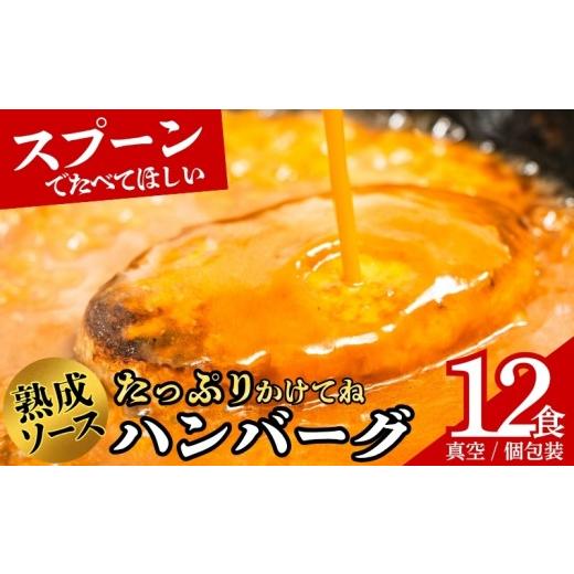ふるさと納税 肉 ハンバーグ 岩手県 盛岡市 ふるさと納税限定 ハンバーグSaiの味 ふわふわハンバーグ 自家製ソース付き 12食 レシピ付き 個包装 真空 着日指…