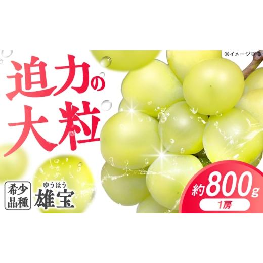 ふるさと納税 ぶどう マスカット 広島県 三次市 先行予約 雄宝 ゆうほう(800g以上/1房/露地栽培) 9月下旬頃から順次発送 三次市 / 西田ぶどう園 APCM013…