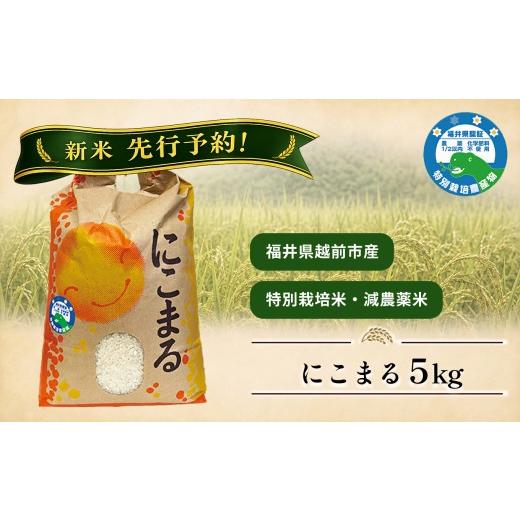 ふるさと納税 米 にこまる 福井県 越前市 新米先行予約 にこまる5kg 令和8年度産 福井県越前市産 福井県特別栽培米