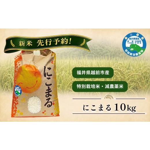 ふるさと納税 米 にこまる 福井県 越前市 新米先行予約 にこまる10kg 令和8年度産 福井県越前市産 福井県特別栽培米
