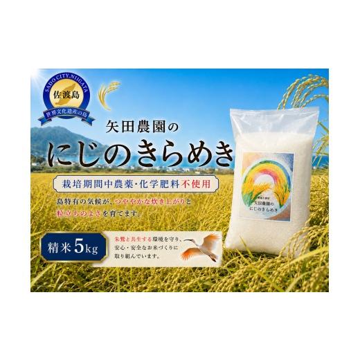 ふるさと納税 米 新潟県 佐渡市 先行予約 令和8年産 佐渡産にじのきらめき 精米5kg 栽培期間中 農薬・化学肥料不使用 矢田農園 | 新潟県産にじのきらめき 新…