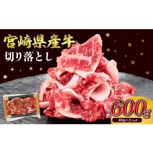 ふるさと納税 牛肉 セット 宮崎県 えびの市 2026年8月発送 宮崎県産 黒牛 切り落とし 600g(300g×2パック) 赤身 牛肉 切り落とし 肉 お肉 牛 国産牛 小分け…