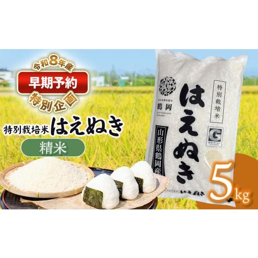 ふるさと納税 米 はえぬき 山形県 鶴岡市 早期予約特別企画 令和8年産先行予約 特別栽培米 はえぬき 精米 5kg (5kg×1袋) 山形県鶴岡産 鶴岡協同ファーム