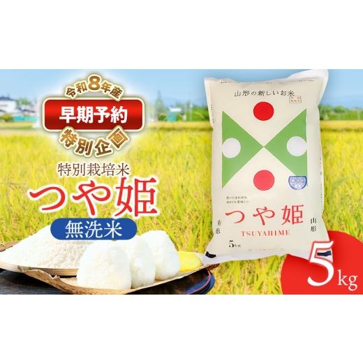 ふるさと納税 無洗米 山形県 鶴岡市 早期予約特別企画 令和8年産先行予約 特別栽培米 つや姫 無洗米 5kg (5kg×1袋) 山形県鶴岡産 鶴岡協同ファーム
