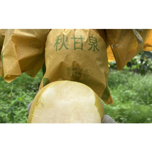ふるさと納税 梨 鳥取県 八頭町 秋甘泉(赤秀) 3kg 彩花園 もぎたて 旬 フルーツ 果物 オリジナルブランド 梨 シャキシャキ 秋甘泉