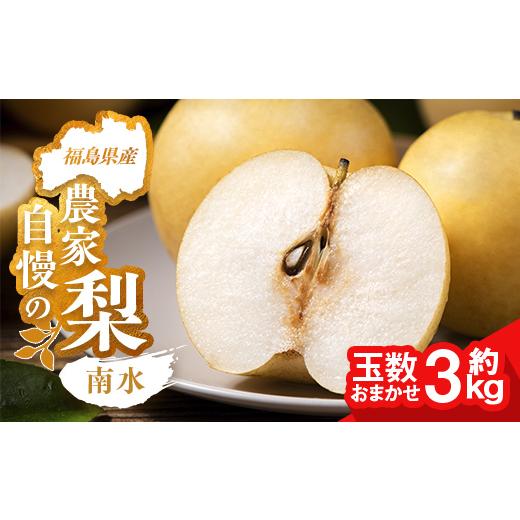 ふるさと納税 梨 福島県 相馬市 農家自慢の梨 南水 約3kg(玉数おまかせ) なし ナシ 梨 デザート フルーツ 果物 くだもの 果実 食品