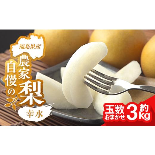 ふるさと納税 梨 福島県 相馬市 農家自慢の梨 幸水 約3kg(玉数おまかせ) なし ナシ 梨 デザート フルーツ 果物 くだもの 果実 食品