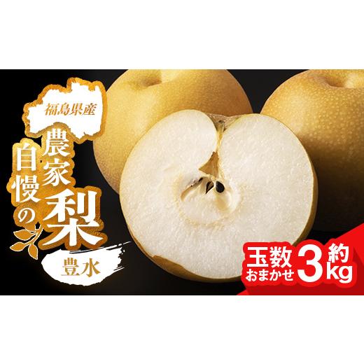 ふるさと納税 梨 福島県 相馬市 農家自慢の梨 豊水 約3kg(玉数おまかせ) なし ナシ 梨 デザート フルーツ 果物 くだもの 果実 食品