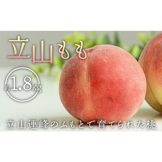 ふるさと納税 もも 富山県 立山町 立山もも(小箱) 桃 フルーツ 果物 約1.8kg 6玉 富山県
