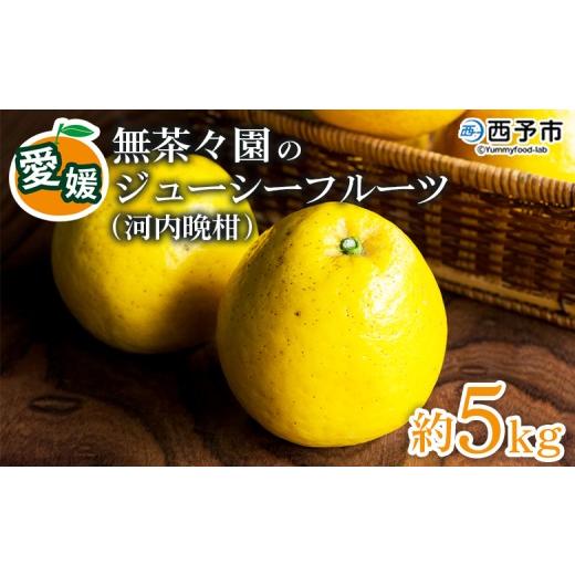 ふるさと納税 果物類 みかん 愛媛県 西予市 無茶々園のジューシーフルーツ(河内晩柑)約5kg 果物 フルーツ 選べる内容量 かわちばんかん みかん ミカン 蜜柑…