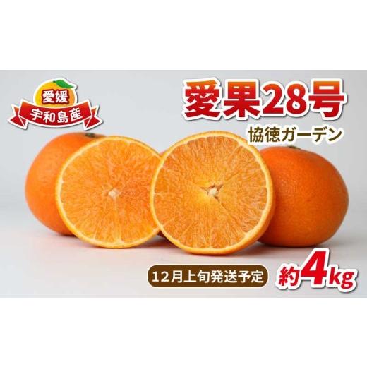 ふるさと納税 みかん・柑橘類 愛媛県 宇和島市 愛果28号 ( 紅まどんな と同品種) 4kg 家庭用 協徳ガーデン 柑橘 みかん ミカン 蜜柑 愛媛みかん 愛媛ミカン 愛…