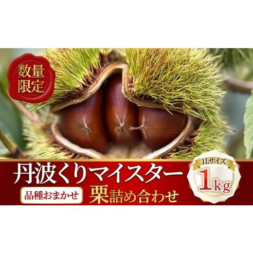 ふるさと納税 果物類 栗 京都府 福知山市 先行予約受付中 2026年9月下旬以降順次発送予定 数量限定 丹波くりマイスターが育てた丹波栗1kg(1Lサイズ/品種おま…