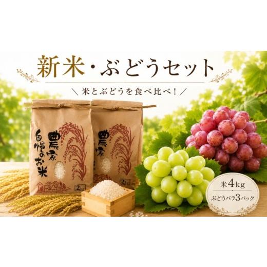 ふるさと納税 果物の詰合せ 茨城県 鉾田市 9月より順次発送 米 ぶどう バラ 食べ比べ セット 新米 精米 コシヒカリ ミルキークイーン シャインマスカット ク…