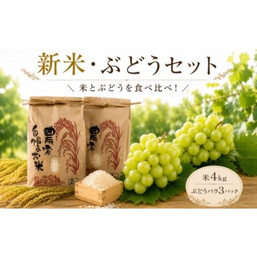 ふるさと納税 果物の詰合せ 茨城県 鉾田市 9月より順次発送 米 シャインマスカット バラ 食べ比べ セット 新米 精米 コシヒカリ ミルキークイーン シャインマ…