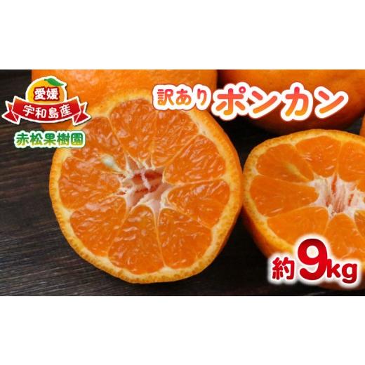 ふるさと納税 果物類 みかん 愛媛県 宇和島市 訳あり ポンカン 9kg 赤松果樹園 先行予約 愛媛みかん 愛媛蜜柑 愛媛ミカン 蜜柑 みかん mikan 果物 くだもの フ…
