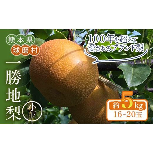 ふるさと納税 梨 熊本県 球磨村 FKP9-721 先行予約 訳あり 一勝地梨 小玉 約5kg
