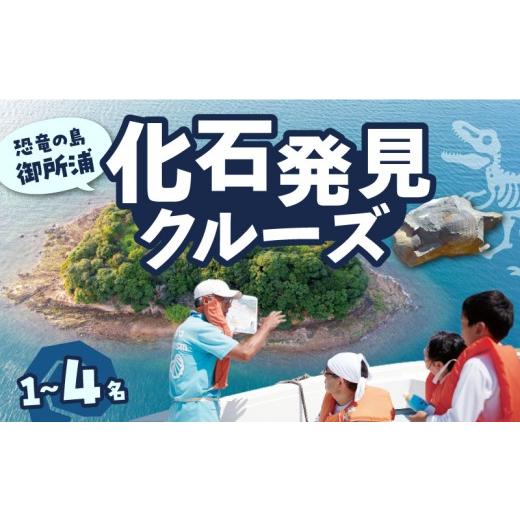 ふるさと納税 体験チケット 熊本県 天草市 S188-006_恐竜の島御所浦 化石発見クルーズ(1名〜4名) 1名〜4名