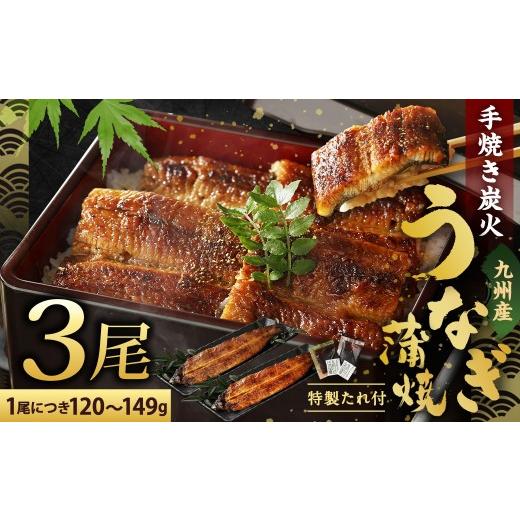 ふるさと納税 うなぎ 福岡県 北九州市 2026年10月発送 九州産 手焼き 炭火 うなぎ 蒲焼 3尾 計360g以上 (1尾あたり120〜149g) 2026年10月発送
