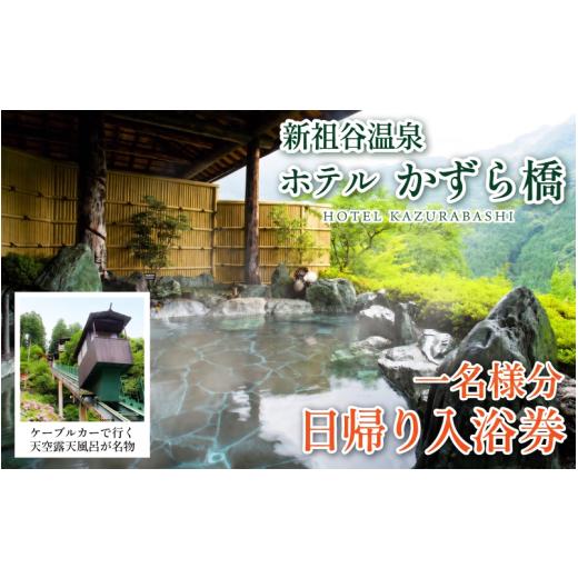 ふるさと納税 宿泊券 温泉 徳島県 三好市 日帰り温泉券 徳島 旅行 ホテルかずら橋 1名様分 ケーブルカー 日本三大秘境 祖谷 温泉宿 天空 露天風呂 祖谷温泉 観…