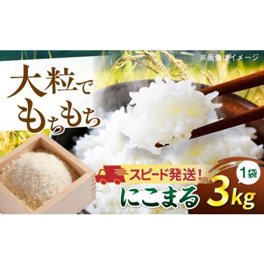 ふるさと納税 米 にこまる 福岡県 糸島市 3kg チョイス限定 令和7年産 スピード発送 にこまる 玄米品質1等米 白米 糸島市産 糸島市 / 糸島の恵み コメ こめ …