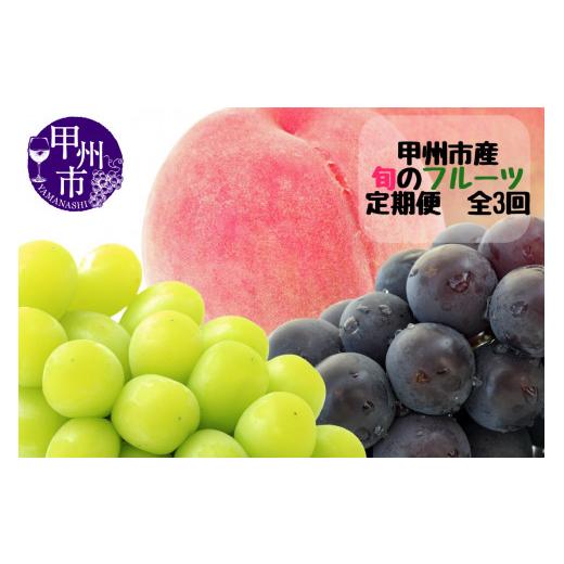 ふるさと納税 もも 山梨県 甲州市 定期便 甲州市産厳選旬のフルーツ定期便全3回(桃・巨峰・シャインマスカット) 2027年発送 (MG)C8-480 2027年発送
