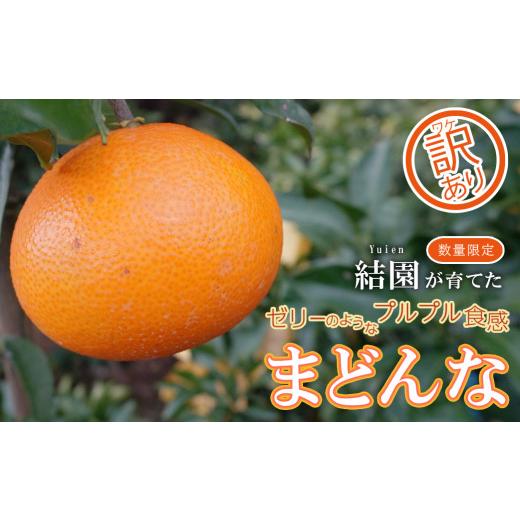 ふるさと納税 みかん・柑橘類 愛媛県 愛南町 訳あり まどんな 愛果28号 約2.5kg サイズミックス SS から S サイズ 小玉 ミックス 結園 農園直送 とろける 甘さ…