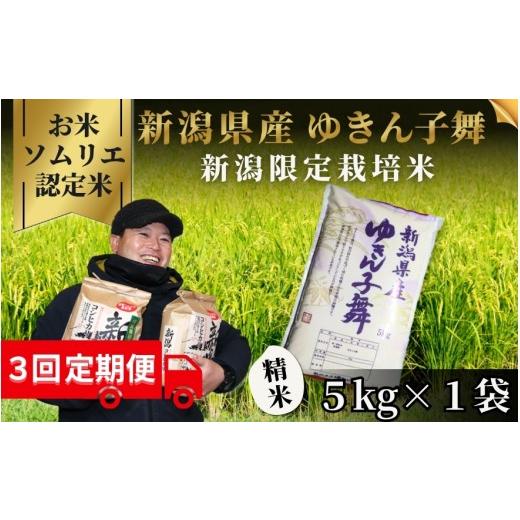 ふるさと納税 米 新潟県 五泉市 先行予約 令和8年産 [3回定期便] お米ソムリエのお米 ゆきん子舞 精米 5kg(5kg×1袋) 新潟県 五泉市 エバーグリーン農場