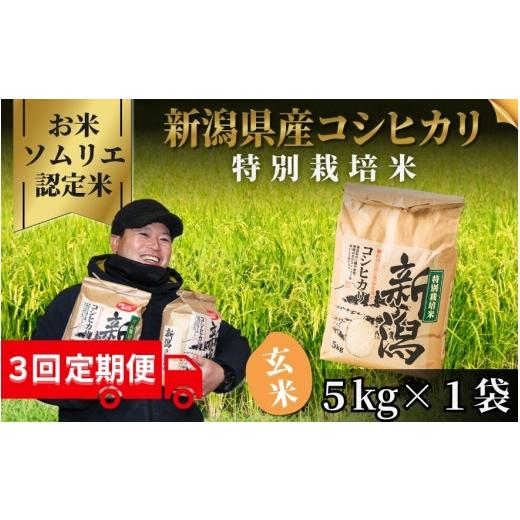 ふるさと納税 玄米 新潟県 五泉市 先行予約 令和8年産 [3回定期便] お米のソムリエのお米 特別栽培米コシヒカリ 玄米 5kg(5kg×1袋) 新潟県 五泉市 エバ…