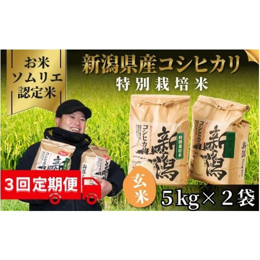 ふるさと納税 玄米 新潟県 五泉市 先行予約 令和8年産 [3回定期便] お米ソムリエのお米 特別栽培米コシヒカリ 玄米 10kg(5kg×2袋) 新潟県 五泉市 エバー…