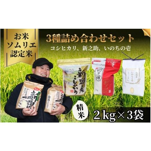 ふるさと納税 米 コシヒカリ 新潟県 五泉市 先行予約 令和8年産 3種詰め合わせセット(コシヒカリ2kg、新之助2kg、いのちの壱2kg) | 新潟産コシヒカリ 新潟…