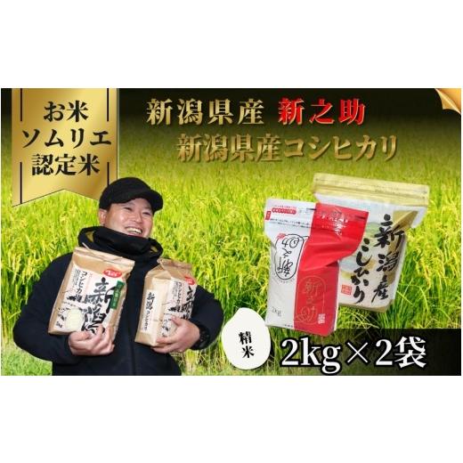 ふるさと納税 無洗米 新潟県 五泉市 先行予約 令和8年産 お米ソムリエのお米 食べ比べ精米セット 4kg(コシヒカリ2kg、新之助2kg)新潟県 五泉市 エバーグリ…