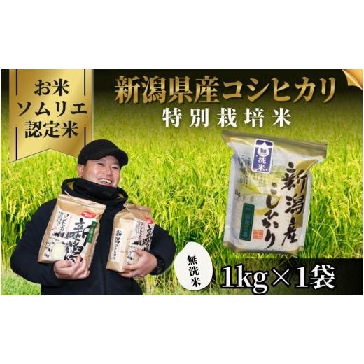 ふるさと納税 無洗米 新潟県 五泉市 先行予約 令和8年産 お米ソムリエのお米 無洗米 コシヒカリ 1kg 新潟県 五泉市 エバーグリーン農場