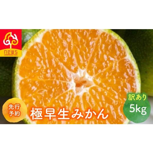 ふるさと納税 果物類 みかん 愛媛県 伊方町 先行予約 訳あり 極早生みかん 5kg(2026年9月中旬から発送予定) ふるさと納税 人気 おすすめ ランキング みかん…