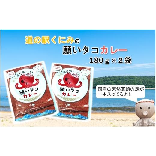 ふるさと納税 加工品等 レトルト 大分県 国東市 道の駅くにみの願いタコカレー2袋 レトルト 時短 簡単調理 海鮮 真蛸_2802R-1 2P