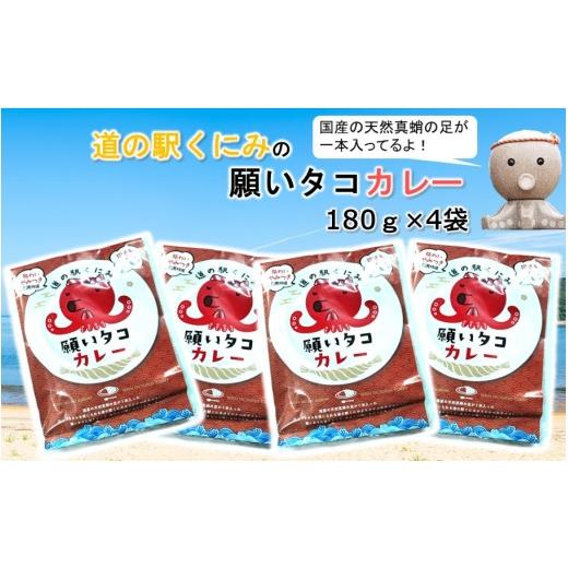 ふるさと納税 加工品等 レトルト 大分県 国東市 道の駅くにみの願いタコカレー4袋 レトルト 時短 簡単調理 海鮮 真蛸_2802R-2 4P
