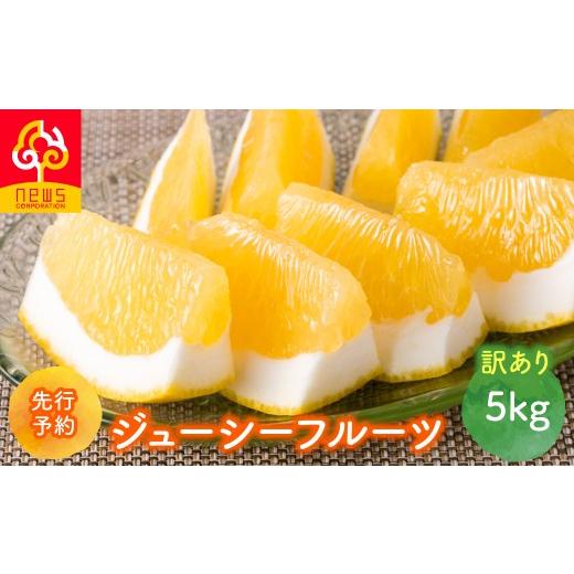 ふるさと納税 果物類 みかん 愛媛県 伊方町 先行予約 訳あり ジューシーフルーツ5kg(2027年5月中旬より順次発送) ふるさと納税 人気 おすすめ ランキング …