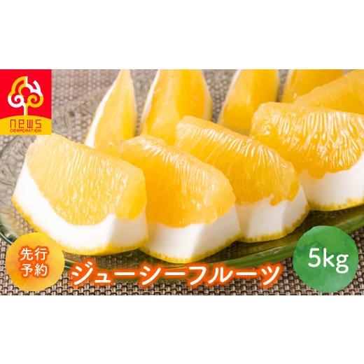 ふるさと納税 果物類 みかん 愛媛県 伊方町 先行予約 ジューシーフルーツ5kg(2027年5月中旬より順次発送) ふるさと納税 人気 おすすめ ランキング みかん …