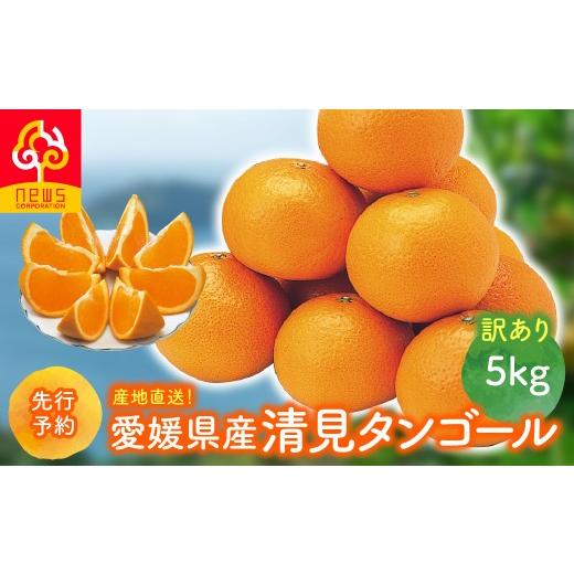 ふるさと納税 果物類 みかん 愛媛県 伊方町 先行予約 訳あり 産地直送 愛媛県産清見タンゴール 5kg(2027年2月下旬より順次発送) ふるさと納税 人気 おすす…