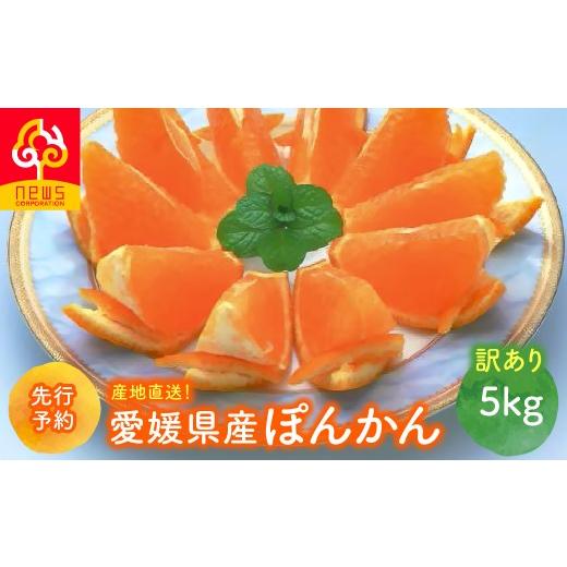 ふるさと納税 果物類 みかん 愛媛県 伊方町 先行予約 訳あり 産地直送 愛媛県産ぽんかん 5kg(2027年1月上旬より順次発送) ふるさと納税 人気 おすすめ ラン…