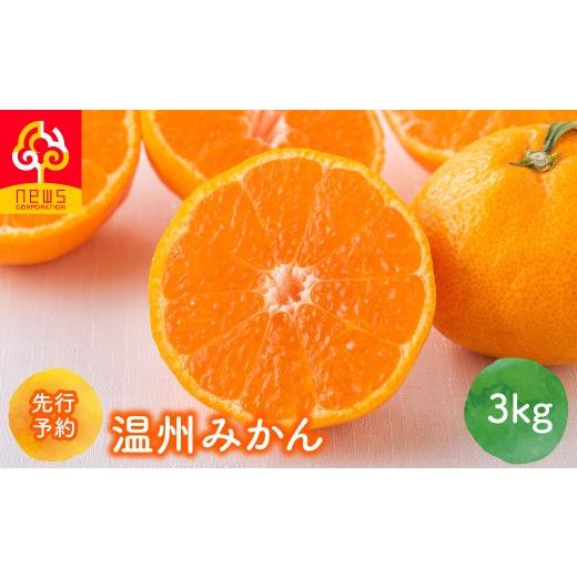 ふるさと納税 果物類 みかん 愛媛県 伊方町 先行予約 温州みかん 3kg(2026年11月上旬より順次発送) ふるさと納税 人気 おすすめ ランキング みかん ミカン …