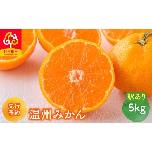 ふるさと納税 果物類 みかん 愛媛県 伊方町 先行予約 訳あり 温州みかん 5kg(2026年11月上旬より順次発送) ふるさと納税 人気 おすすめ ランキング みかん …