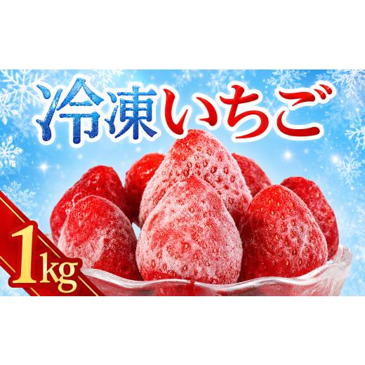 ふるさと納税 いちご 千葉県 銚子市 冷凍いちご 1kg イチゴ 苺 いちご 真空パック 冷凍 国産 冷凍フルーツ 無添加 砂糖不使用 無糖 ヘタ取り済み 熟成 収穫 加…