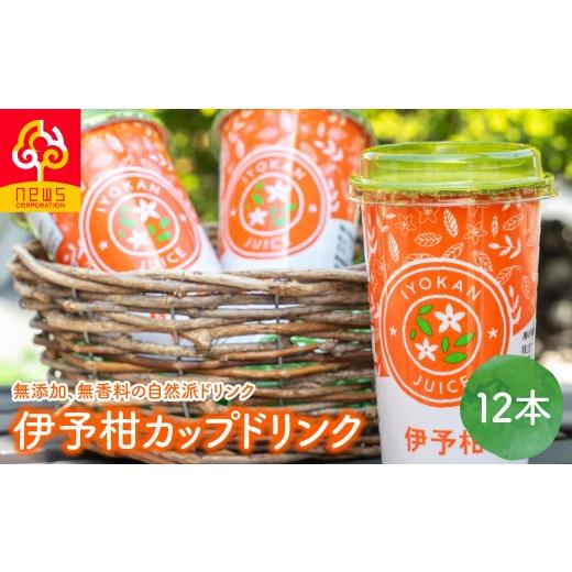 ふるさと納税 果汁飲料 みかん 愛媛県 伊方町 伊予柑カップドリンク12本入り ふるさと納税 人気 おすすめ ランキング 柑橘 みかん ミカン オレンジ 伊予柑 カ…