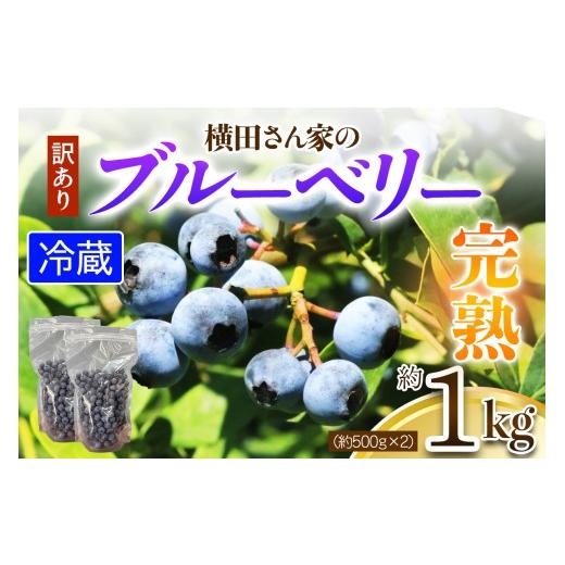 ふるさと納税 果物類 茨城県 稲敷市 訳あり 横田さん家の完熟ブルーベリー 約1kg (約500g×2)|フルーツ 果物 くだもの スムージー ジャム ヨーグルト 2330
