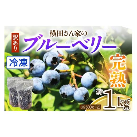 ふるさと納税 果物類 茨城県 稲敷市 訳あり 横田さん家の冷凍完熟ブルーベリー約1kg (約500g×2)|フルーツ 果物 くだもの スムージー ジャム ヨーグルト 233…