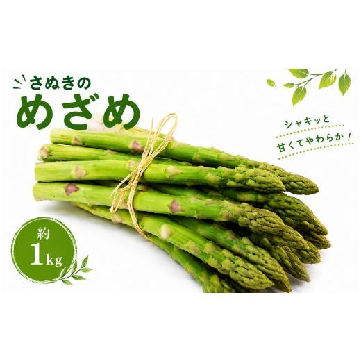 ふるさと納税 野菜類 アスパラガス 香川県 丸亀市 アスパラガス 香川県オリジナル品種 さぬきのめざめ 約1kg 国産 アスパラ 新鮮 野菜 やわらかい シャキシャ…