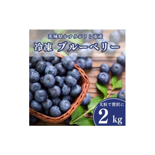 ふるさと納税 果物類 茨城県 かすみがうら市 冷凍ブルーベリー2kg(500g×4パック) 1761153
