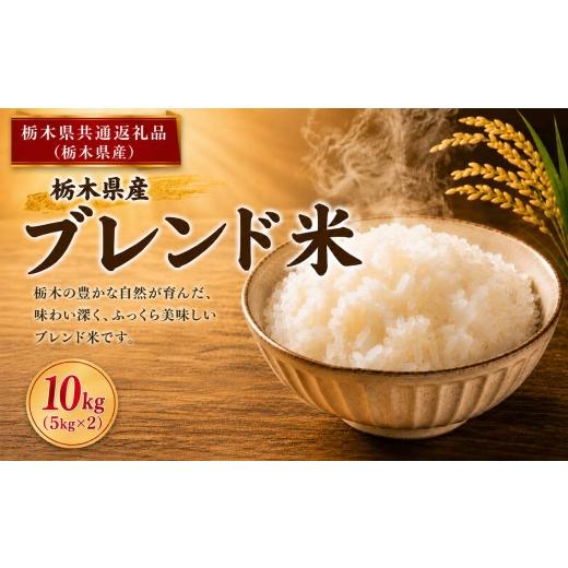ふるさと納税 米 栃木県 真岡市 ブレンド米 10kg 送料無料|ごはん 栃木県産 栃木県 真岡市 ふるさと納税 栃木県共通返礼品 栃木県産 約10kg(5kg×2) | 11,000…
