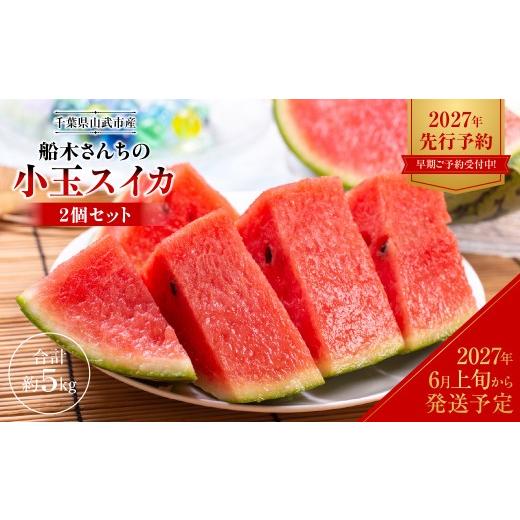 ふるさと納税 スイカ 千葉県 山武市 先行予約・2027年6月上旬〜発送 千葉県山武市産 船木さんちの小玉スイカ2個セット(合計約5kg)/すいか スイカ 西瓜 …
